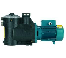 Насос для бассейна Calpeda с предварительным фильтром Calpeda MPCM-31