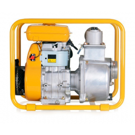 Бензиновая мотопомпа DaiShin PTG 307 ST