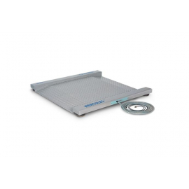 Платформенные весы CAS Геркулес - 1Т1 д (12х12) пандусные на датчиках CAS BSS (IP67) и с индикатором CAS PDI