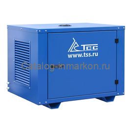 Бензогенератор TSS SGG 6000EH3NA